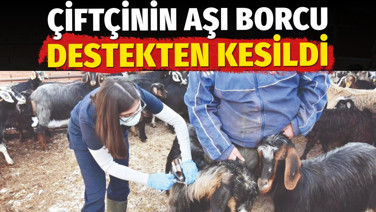 Çiftçinin aşı borcu destekten kesildi