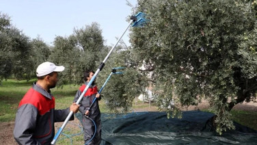 Türkler tadına bile bakamıyor Avrupalı ilaç yerine tüketiyor