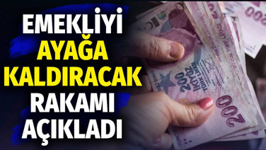 Emekliyi ayağa kaldıracak rakamı açıkladı