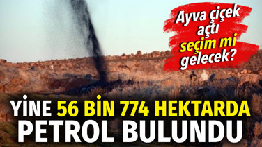 Yine 56 bin 774 hektarda petrol bulundu. Seçim mi gelecek?