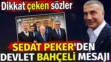 Sedat Peker'den Devlet Bahçeli mesajı. Dikkat çeken sözler