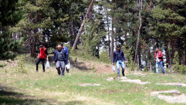 Dağdan bedava topluyorlar kilosunu 250 TL'ye satıyorlar. Pazarda kuyruk oluşuyor