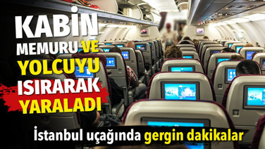 İstanbul uçağında gergin dakikalar. Kabin memuru ve yolcuyu ısırdı