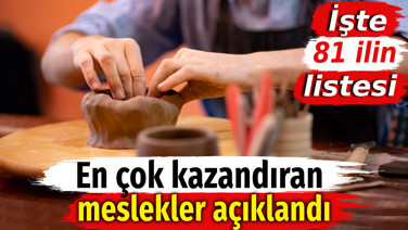 En çok kazandıran meslekler açıklandı. İşte 81 ilin listesi
