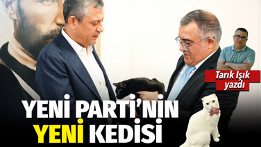 YENİ Parti’nin yeni kedisi