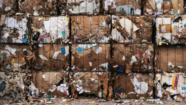Bahçeye karton serip ıslatın. Kutuları çöpte heba etmeyin