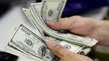 Ektirmek için dolarla para ödediler. Kurtulamıyorlar