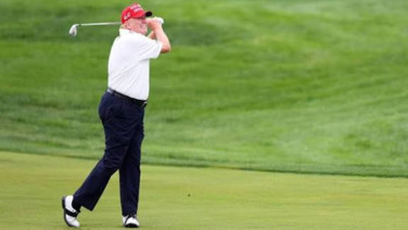 Golf sahası için yüzlerce ağaç kesildi. ABD'li yargıç 'cehalet' deyip kararı durdurdu