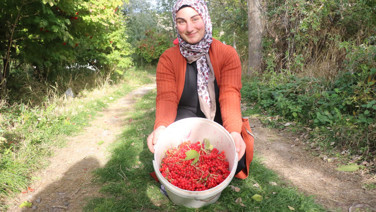 Kayserili yeni altını buldu. 500 TL'den bidon bidon satıyorlar