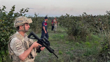 Kilosu 900 bin TL’ye yükselince jandarma eller tetikte tarla nöbeti tutuyor