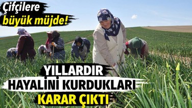 Çiftçilere büyük müjde! Yıllardır hayalini kurdukları karar çıktı