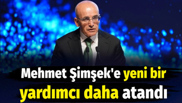 Mehmet Şimşek'e yeni bir yardımcı daha atandı