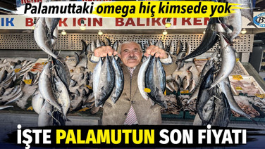 Palamuttaki omega hiç kimsede yok. İşte palamutun son fiyatı