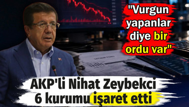 AKP'li Nihat Zeybekci fon krizinde 6 kurumu işaret etti: Vurgun yapanlar diye bir ordu var