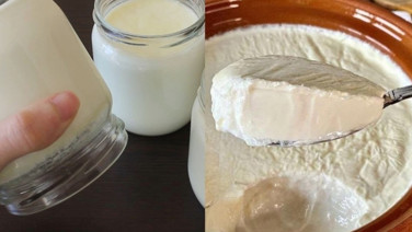 Taş gibi yoğurt yapmanın sırrı açıklandı! Kaşığı dik tutan tarif