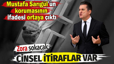 Mustafa Sarıgül'ün korumasının ifadesi ortaya çıktı. İfadede sayısız cinsel itiraflar var