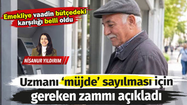 Emekliye bir parmak bal! Uzmanı 'müjde' sayılması için gereken zammı açıkladı