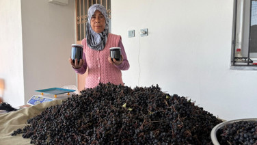 Oğlunun tavsiyesiyle başladı, kilosunu 800 liradan satıyor