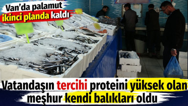 Palamutun papucu dama atıldı. Vanlının tercihi proteini yüksek olan kendi balıkları oldu