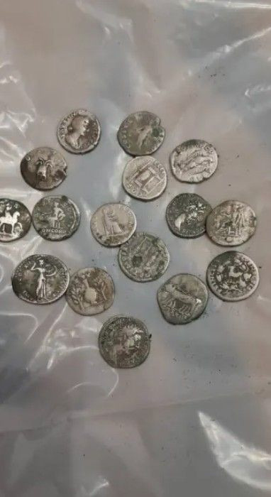 Doğa yürüyüşünde muhteşem keşif: Tarlada hazine buldu - Resim: 5