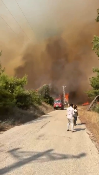 Adana'da orman yangını - Resim : 2