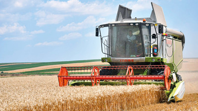 Kuraklık alarmı: Hububatta büyük kayıp kapıda