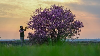 Adıyaman'a bahar erken geldi