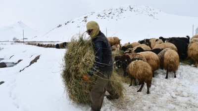 Yayladan hiç ayrılmadı, 26 yıldır dağlarda yaşıyor