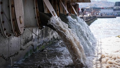 İzmir Körfezi'nde suyun rengi değişti, koku etrafı sardı