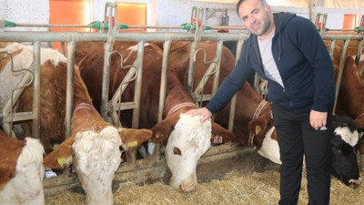 Şehir hayatının kargaşasından kaçtı, köyüne çiftlik kurdu