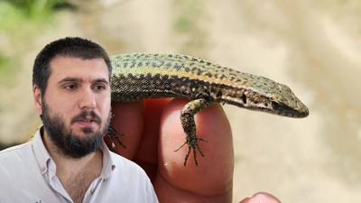 Keşfettiği kertenkeleye annesinin adını verdi: 'Darevskia salihae'