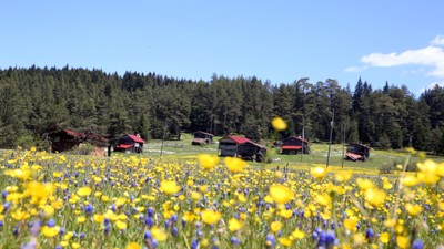 Kastamonu'da görsel şölen başladı