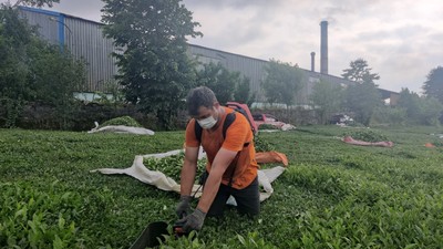 Halk tepkili: Egzozlu motor yasak, kömür tozu serbest
