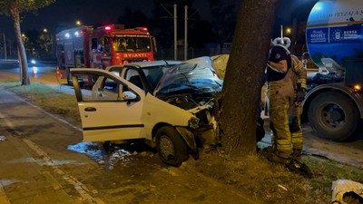 Ağaca çarparak durdu