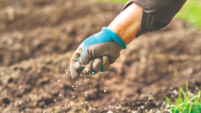 Fiyatı fırlamıştı, iktidar ithalatın önünü açtı