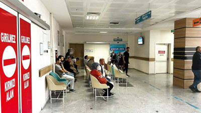 Bu yıl hepimizi hasta ettiler