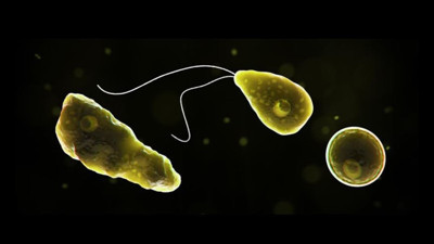 Beyin yiyen amip, 19 kişiyi öldürdü