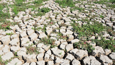 240 gölün 186'sı kurudu