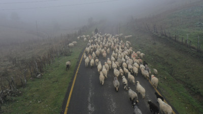 Dumanların arasından: Beş ay sonra dönüşe geçtiler