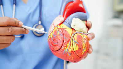 AB’de ölümlerin üçte biri kalp ve dolaşım hastalıklarından