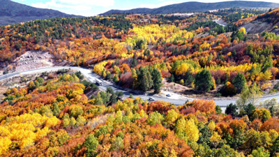 Sivas'ta masal geçidi