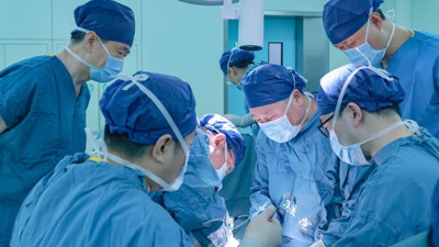 Tıp tarihinde ilk: Domuz karaciğeri nakledildi, 171 gün hayatta kaldı