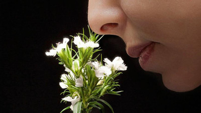 Çarpıcı araştırma: Koku duyusunu kaybettiğinizi fark etmemiş olabilirsiniz