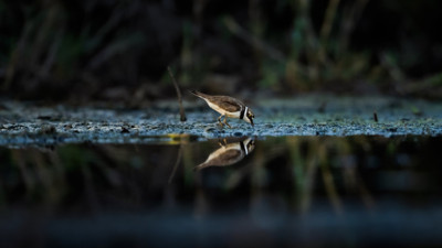 Sonbaharın habercileri Kocaçay’da