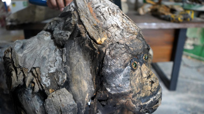 Doğanın atıkları sanata dönüşüyor