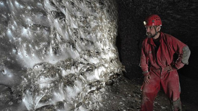 Dünyanın en büyük örümcek ağı bulundu: İçinden 110 binden fazla örümcek çıktı