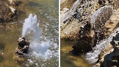 Van Gölü’nde şaşkına çeviren doğa olayı: Tatlı su fışkırıyor
