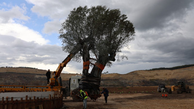 300 yıl sonra taşındı