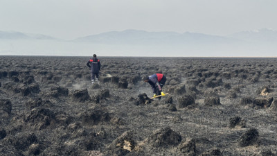 Binlerce kuşun yaşam alanı kül oldu