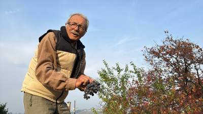 86 yaşında, 54 meyve çeşit meyveyi Türkiye'nin dört bir yanına satıyor